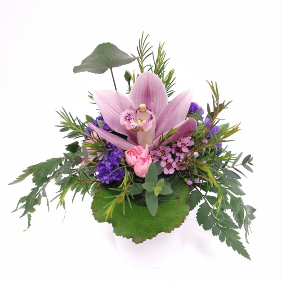 Small Cymbidium Orchid Arrangement Bea's Flowers Flower Shop